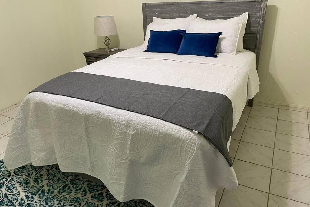 Beautiful Caribbean 3 Bedroom Home In St. Croix Christiansted Eksteriør bilde